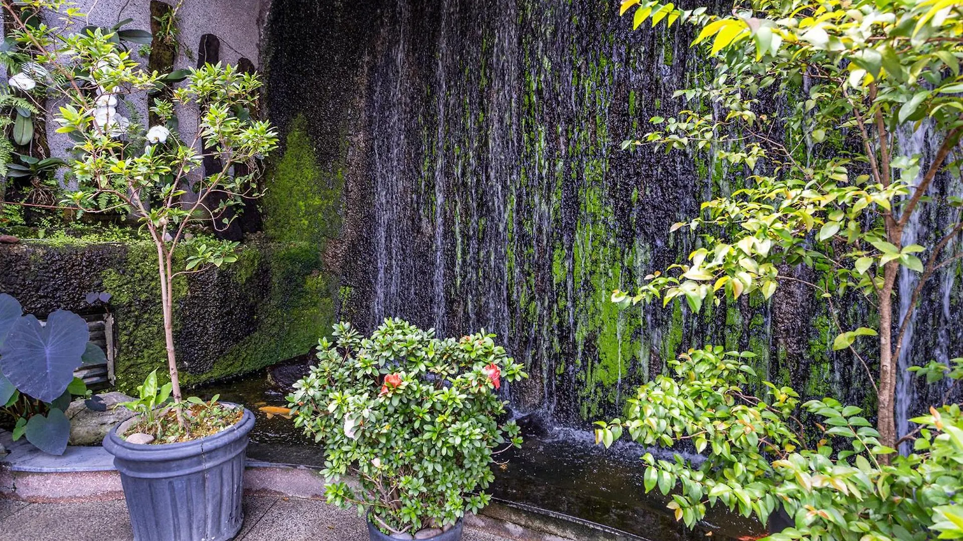 Nikkey Palace Hotel Sao Paulo